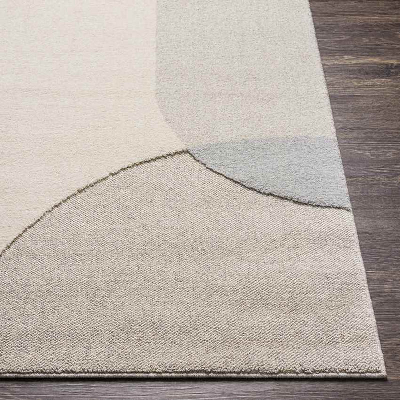 Aalten Modern Beige Area Rug