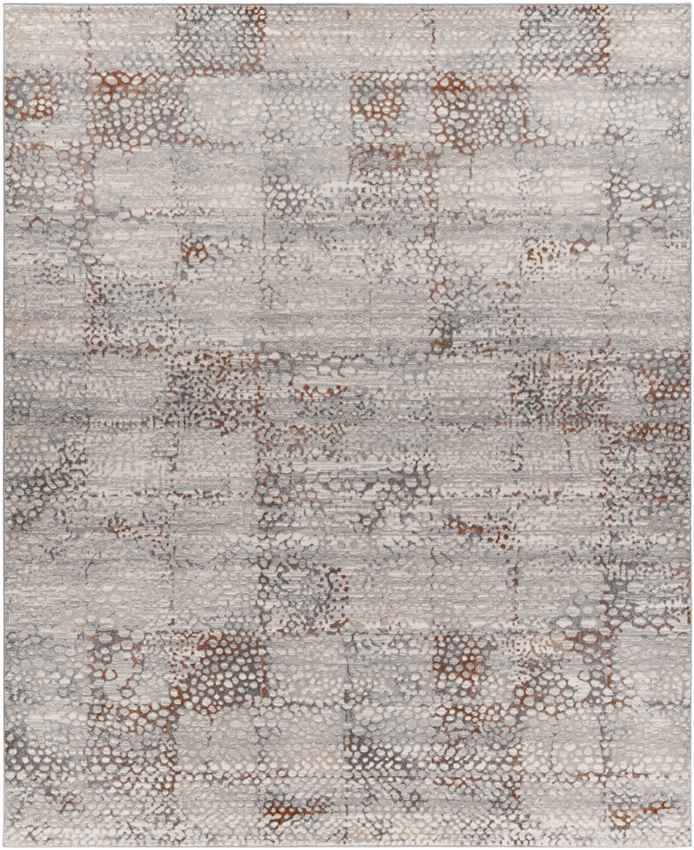 Aperloo Modern Grey Area Rug