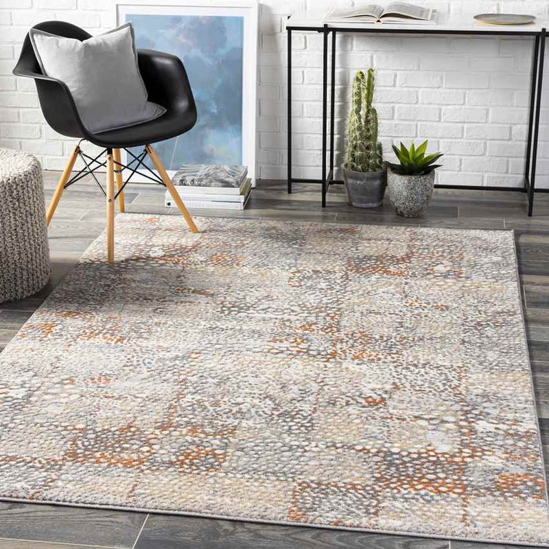 Aperloo Modern Grey Area Rug