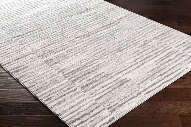 Asch Modern Grey Area Rug