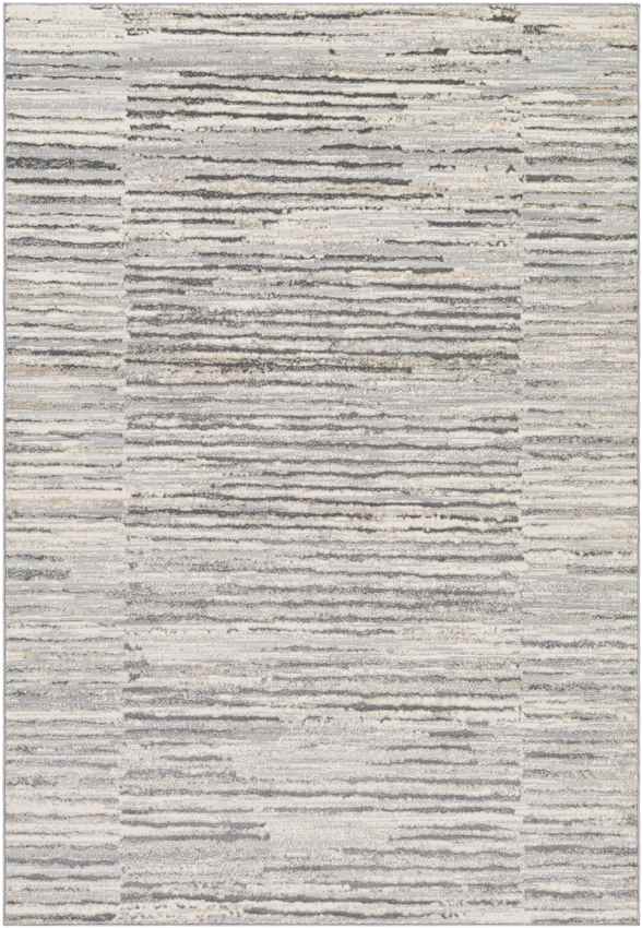 Asch Modern Grey Area Rug