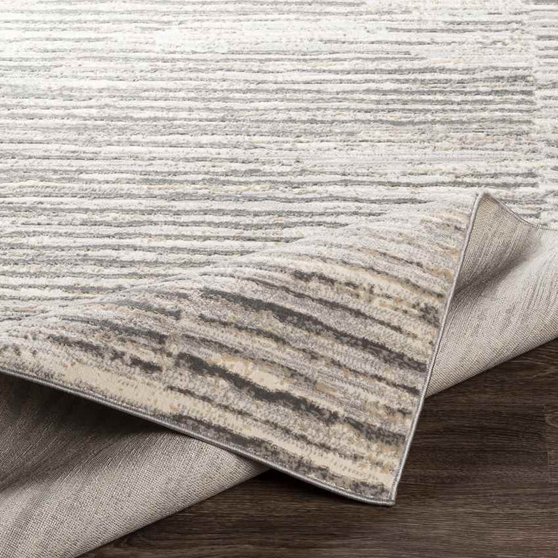 Asch Modern Grey Area Rug