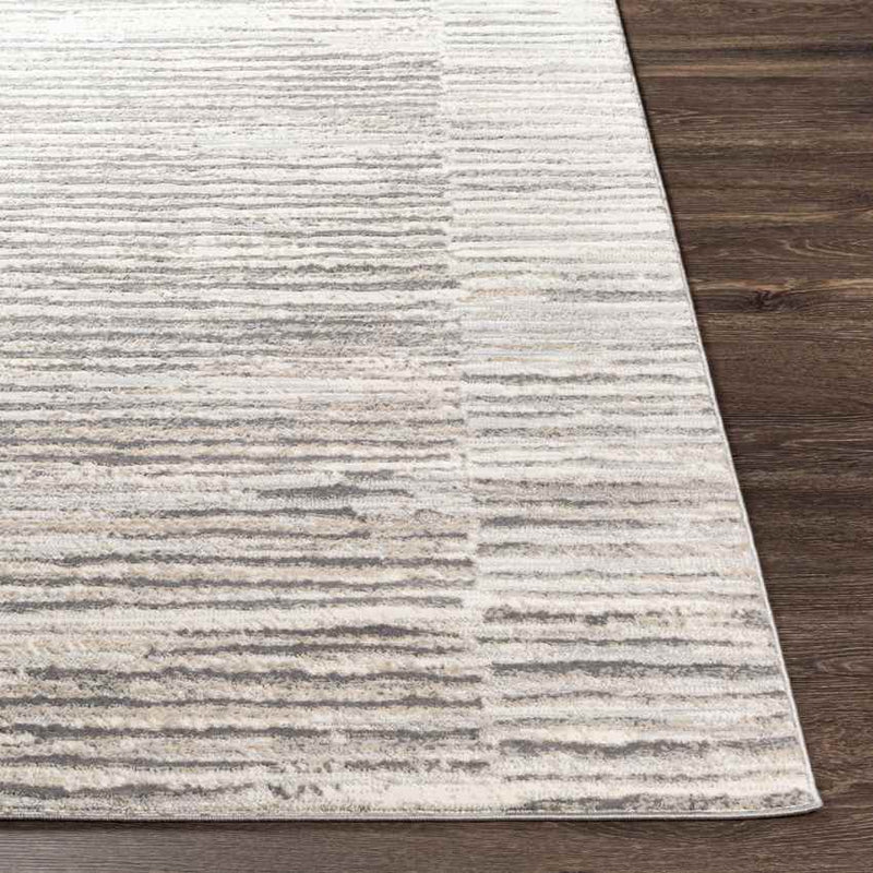 Asch Modern Grey Area Rug