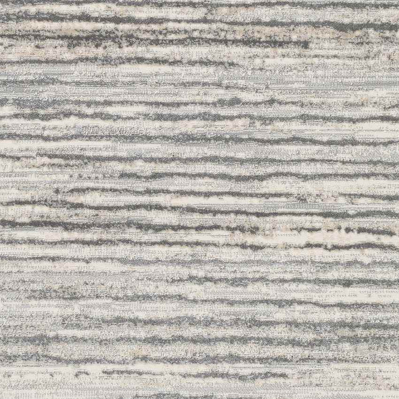 Asch Modern Grey Area Rug