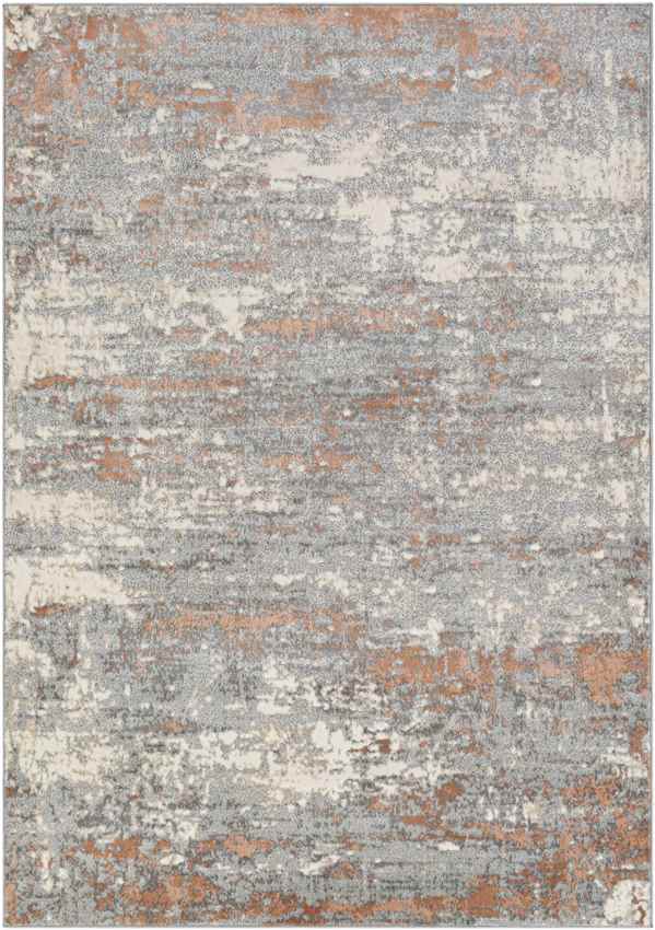 Baak Modern Grey Area Rug