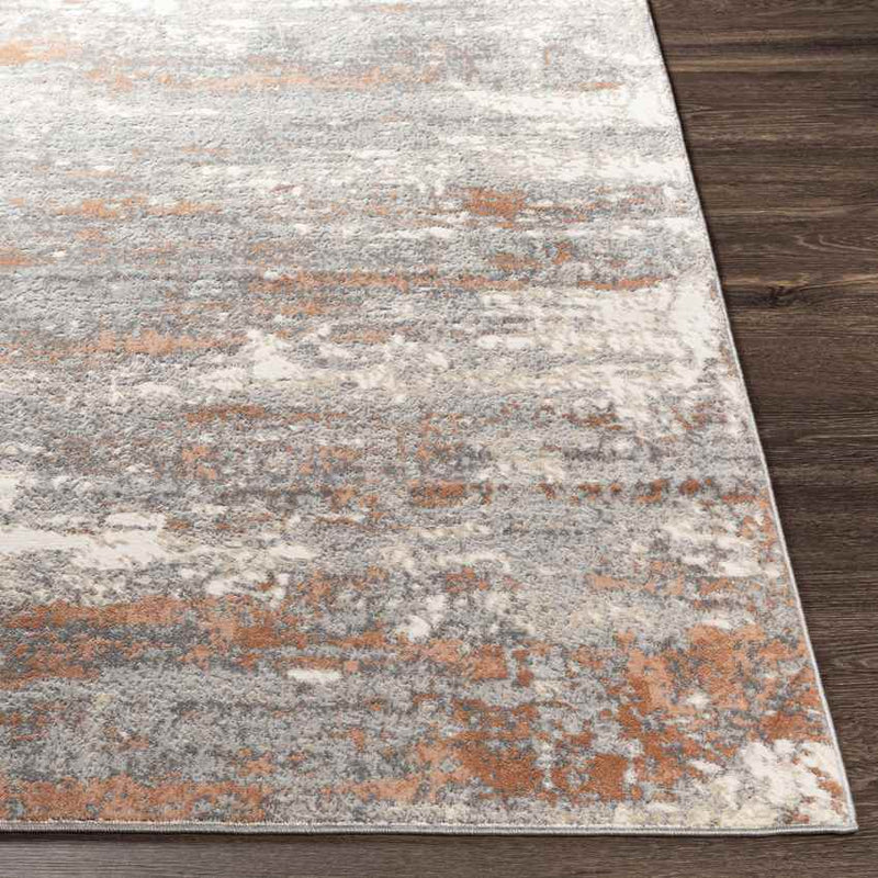 Baak Modern Grey Area Rug