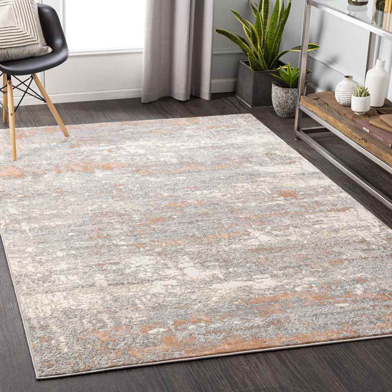 Baak Modern Grey Area Rug