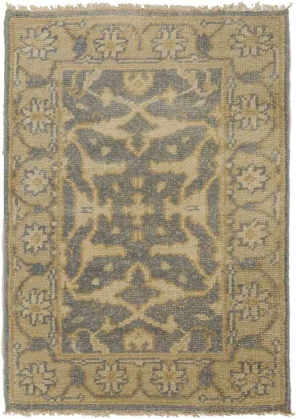 Ouwendorp Traditional Tan Area Rug