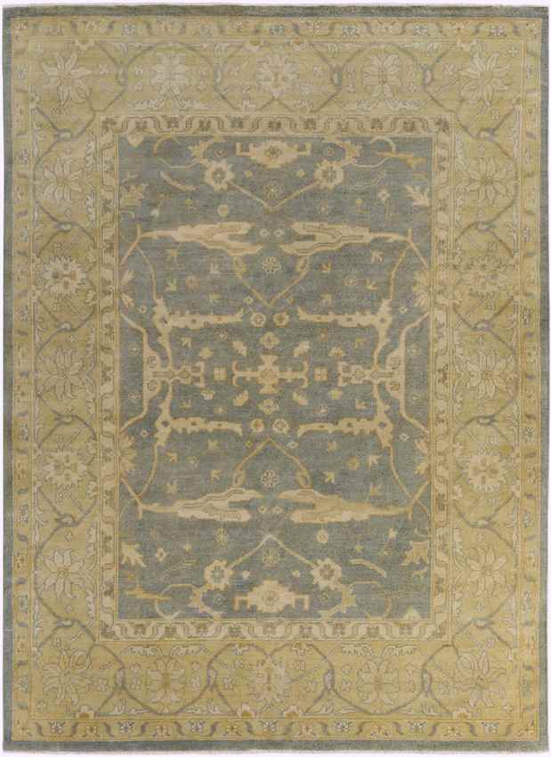 Ouwendorp Traditional Tan Area Rug