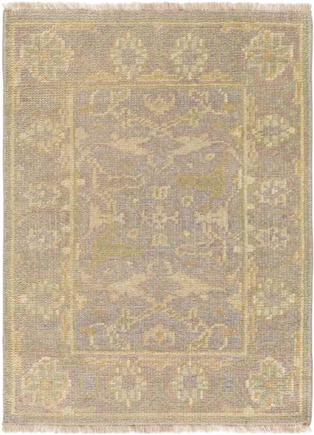 Ouwendorp Traditional Light Gray Area Rug