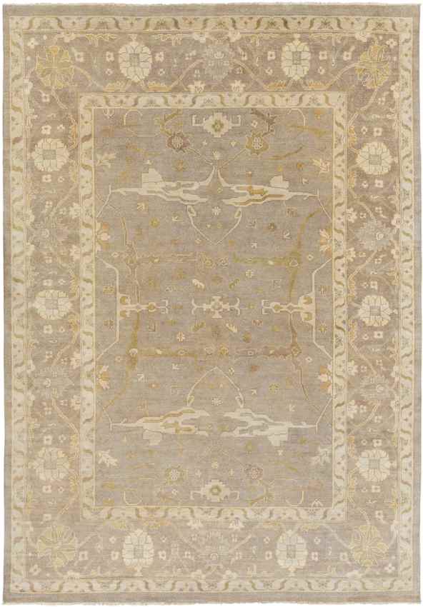 Ouwendorp Traditional Light Gray Area Rug