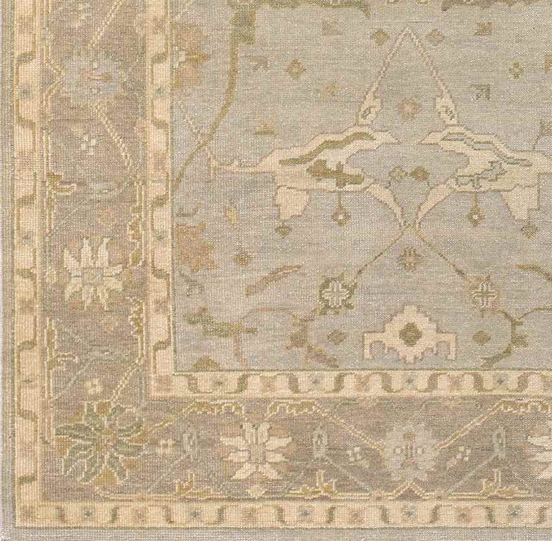 Ouwendorp Traditional Light Gray Area Rug