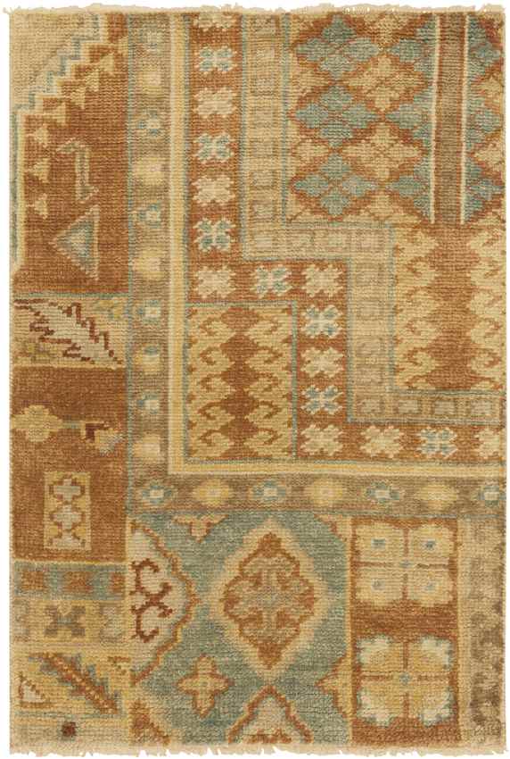 Plak Traditional Burnt Orange Area Rug