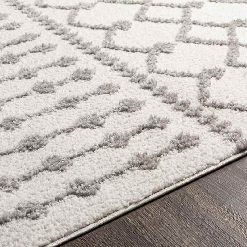 Rocky Ripple Bohemian/Global Pale White Area Rug