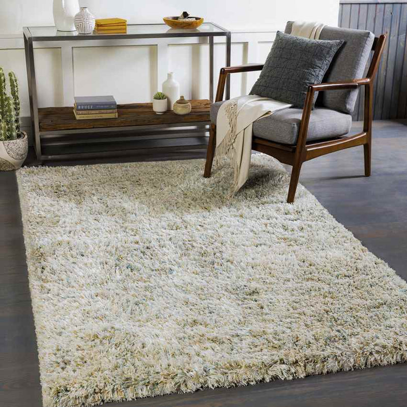 Mithat Modern Mint Area Rug