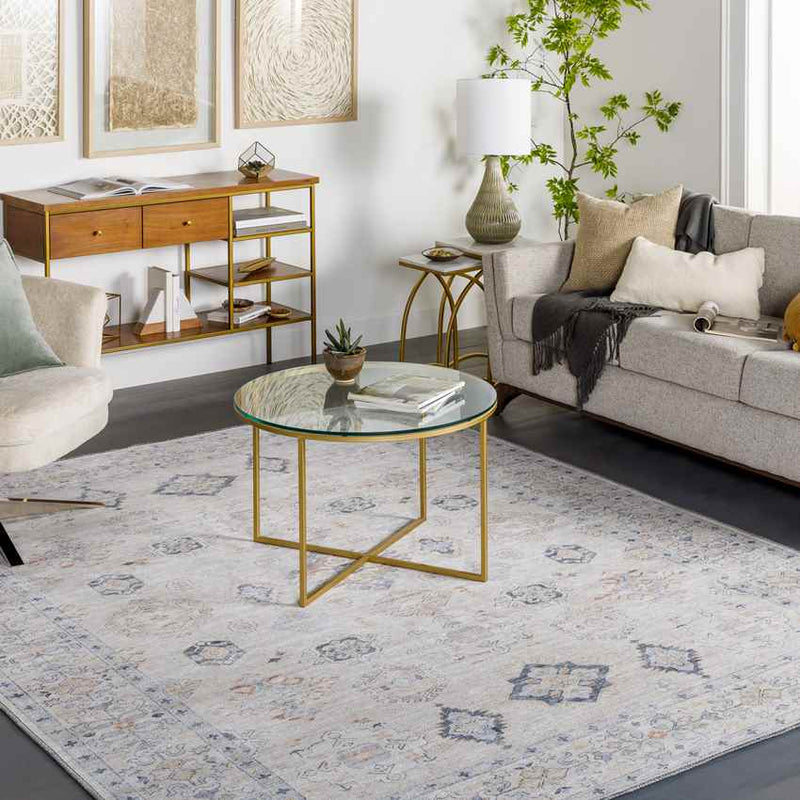 North Utica Traditional Beige Washable Area Rug