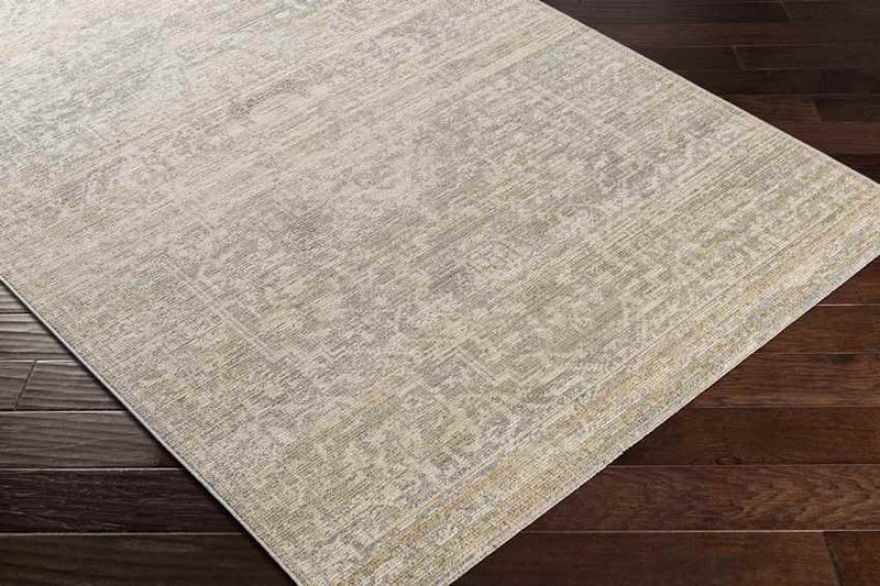 Jay Traditional Beige Area Rug