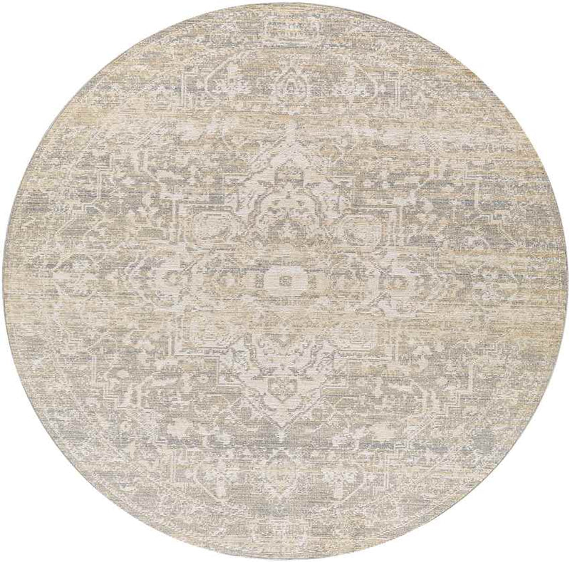 Jay Traditional Beige Area Rug