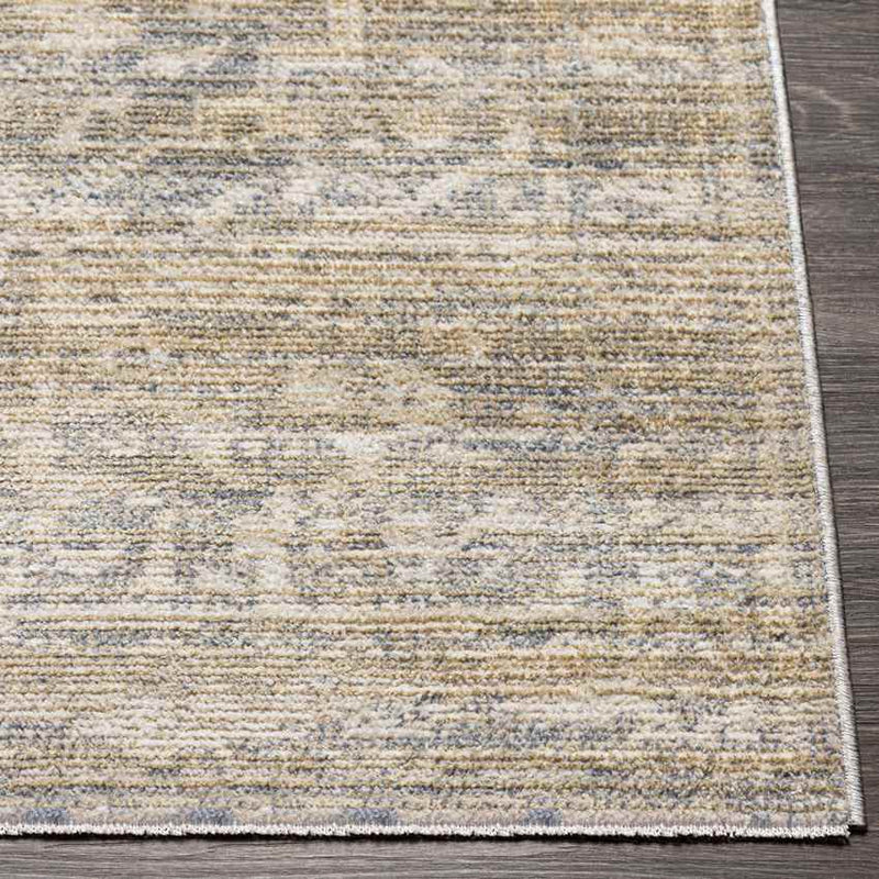 Jay Traditional Beige Area Rug