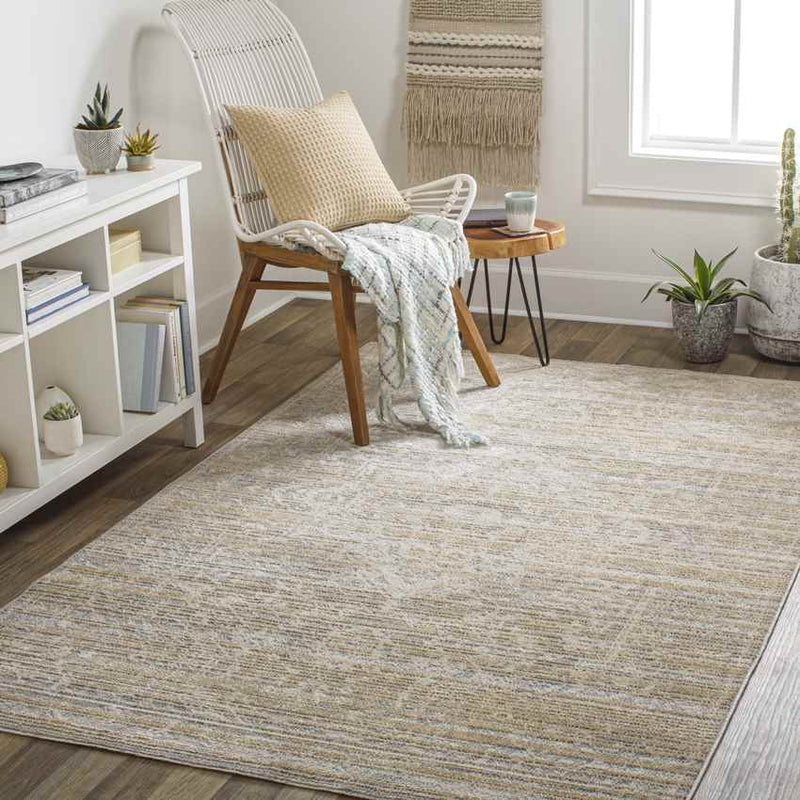 Jay Traditional Beige Area Rug