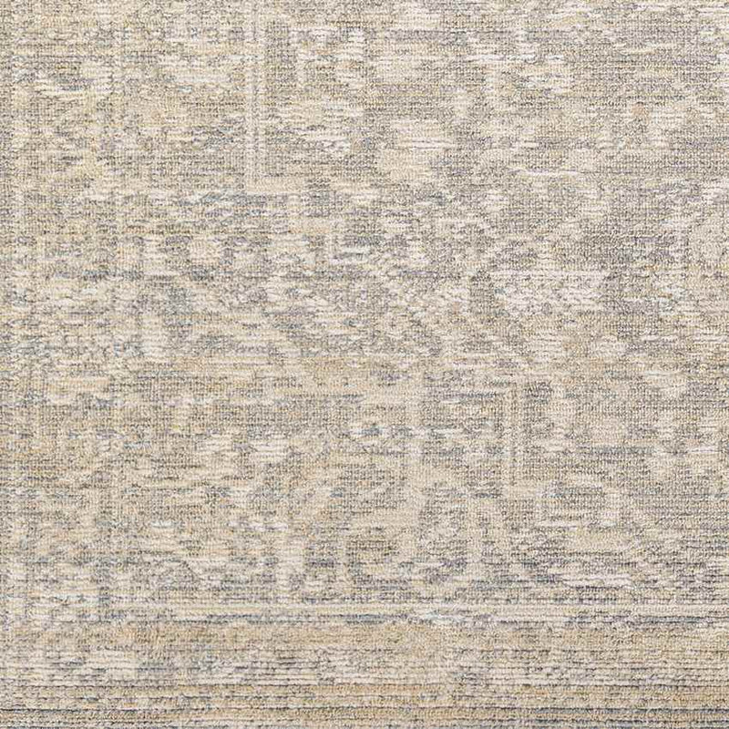 Jay Traditional Beige Area Rug