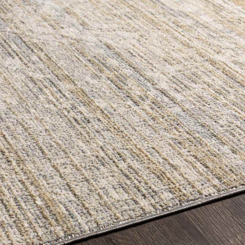 Jay Traditional Beige Area Rug