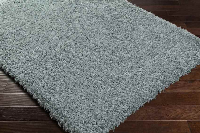 Abraham Modern Teal Area Rug