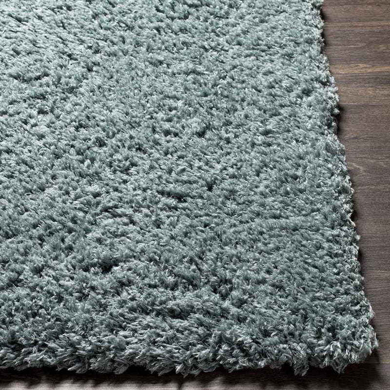 Abraham Modern Teal Area Rug