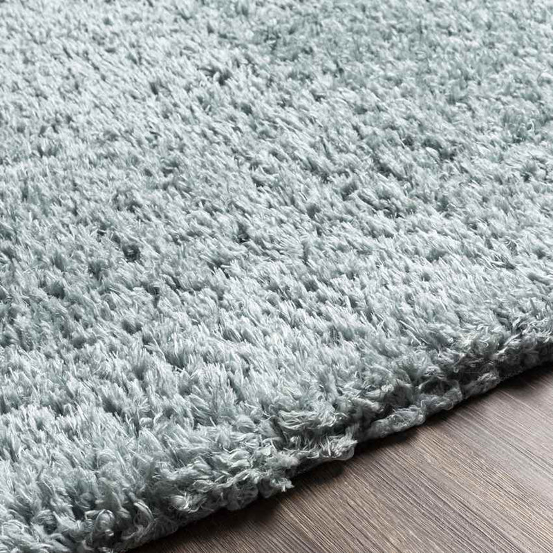 Abraham Modern Teal Area Rug