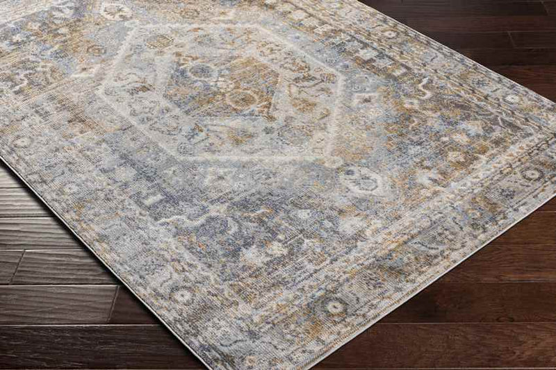 Elisa Traditional Light Gray Area Rug