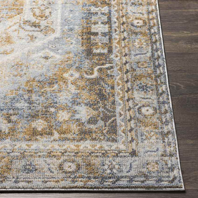 Elisa Traditional Light Gray Area Rug