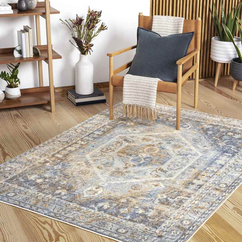 Elisa Traditional Light Gray Area Rug