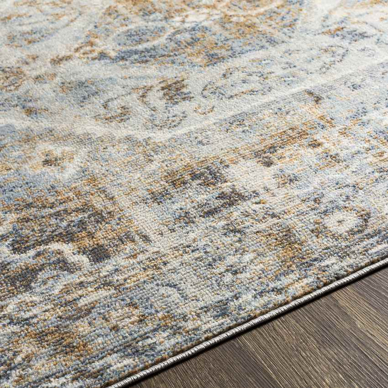 Elisa Traditional Light Gray Area Rug