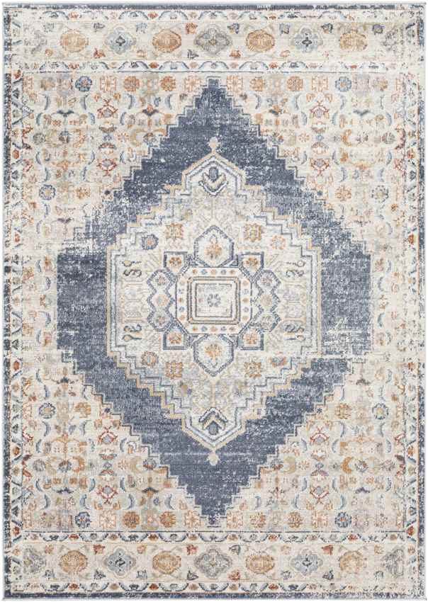 Round Lake Beach Traditional Denim Area Rug