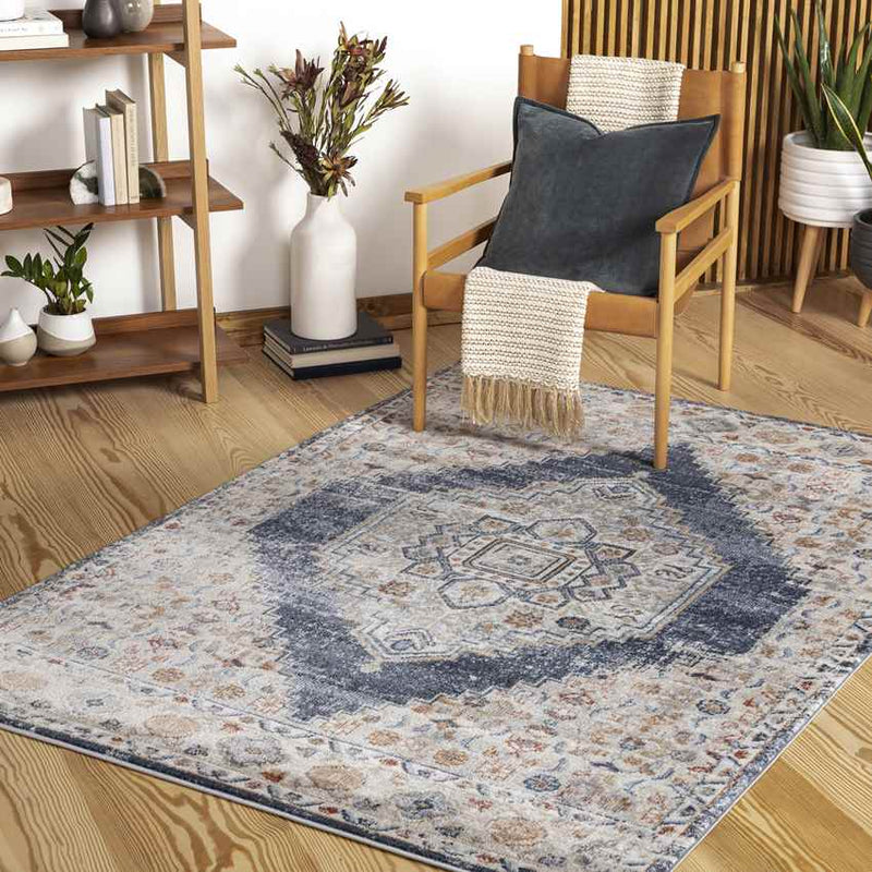 Round Lake Beach Traditional Denim Area Rug