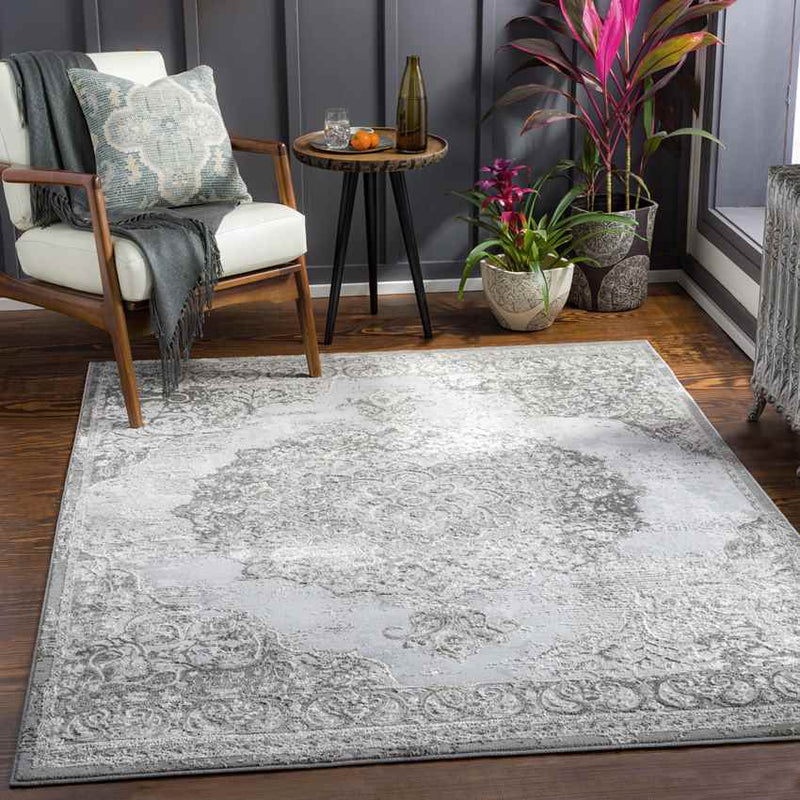 Jerry Traditional Charcoal Area Rug