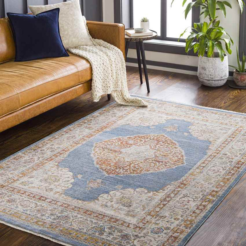 Winthrop Harbor Traditional Denim Area Rug