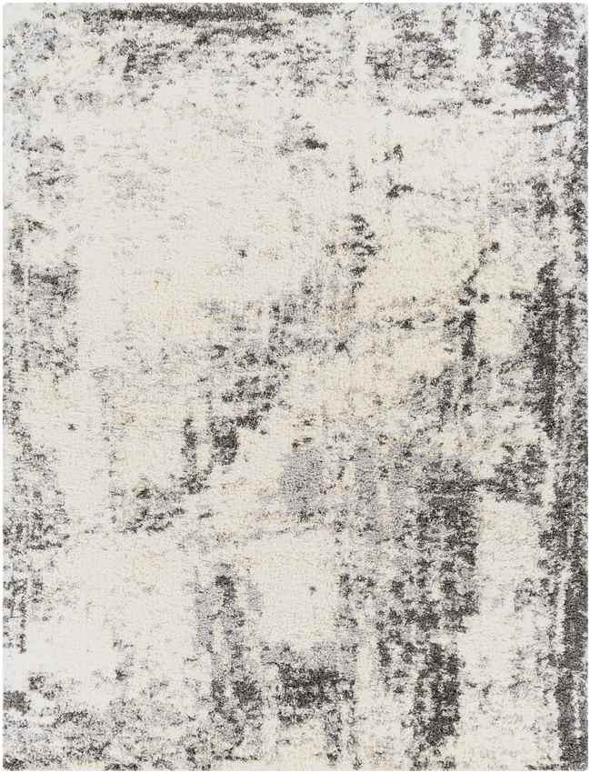 Lake Barrington Modern Charcoal Area Rug