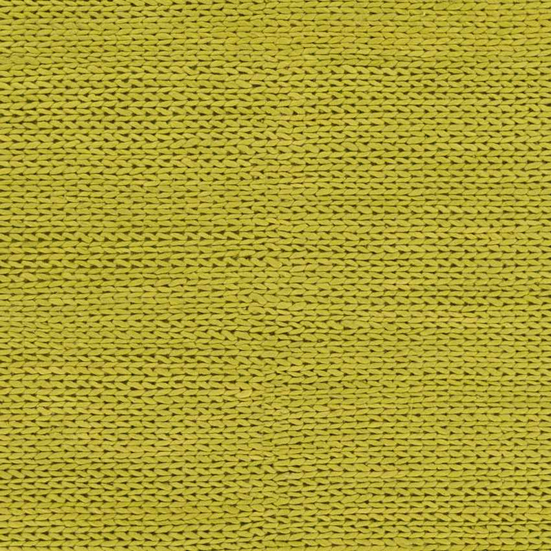 Aaron Modern Lime Area Rug