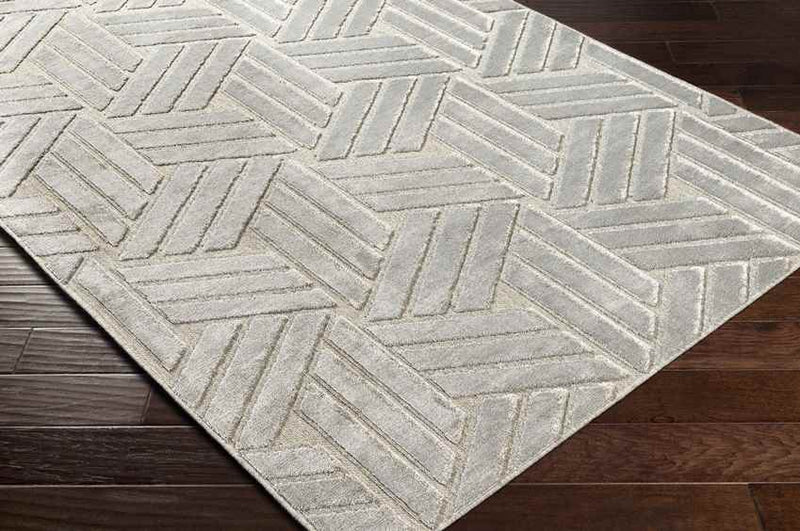 Kingsford Heights Modern Medium Gray Area Rug