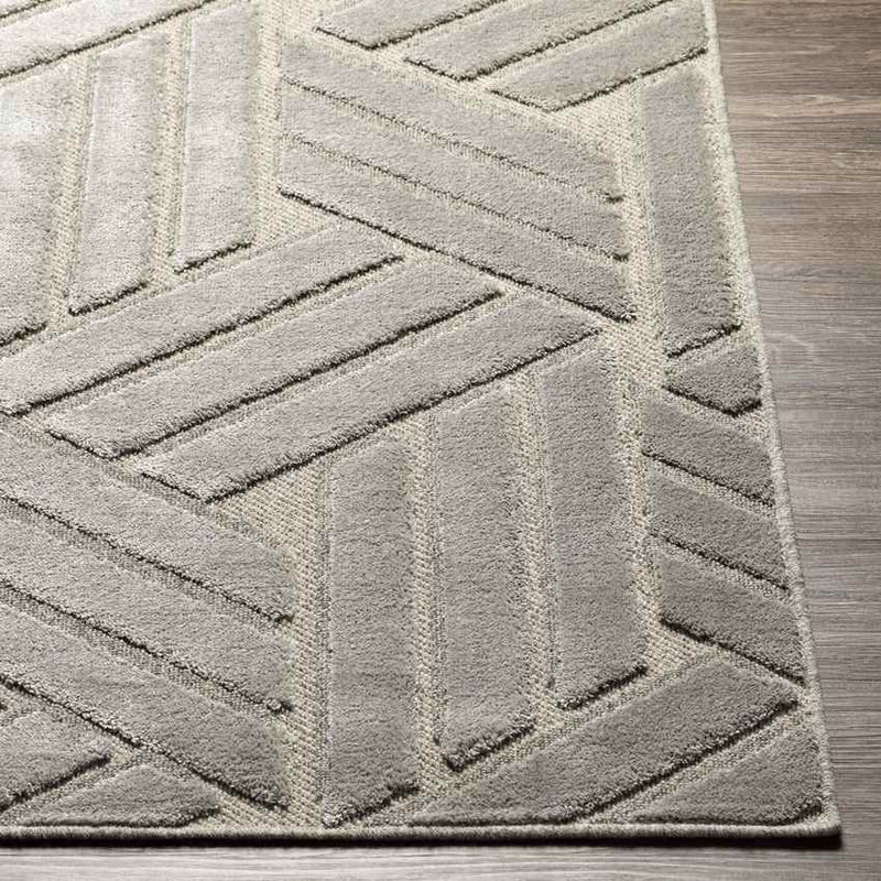 Kingsford Heights Modern Medium Gray Area Rug