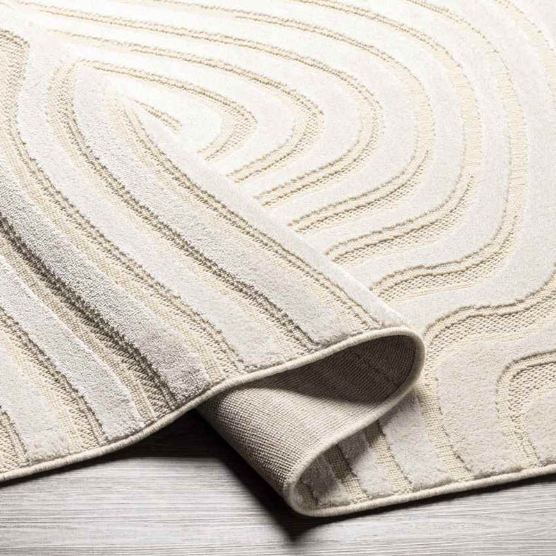 Kirklin Modern Beige Area Rug