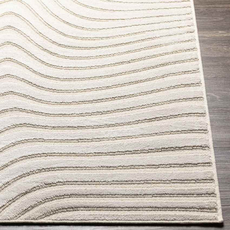 Kirklin Modern Beige Area Rug