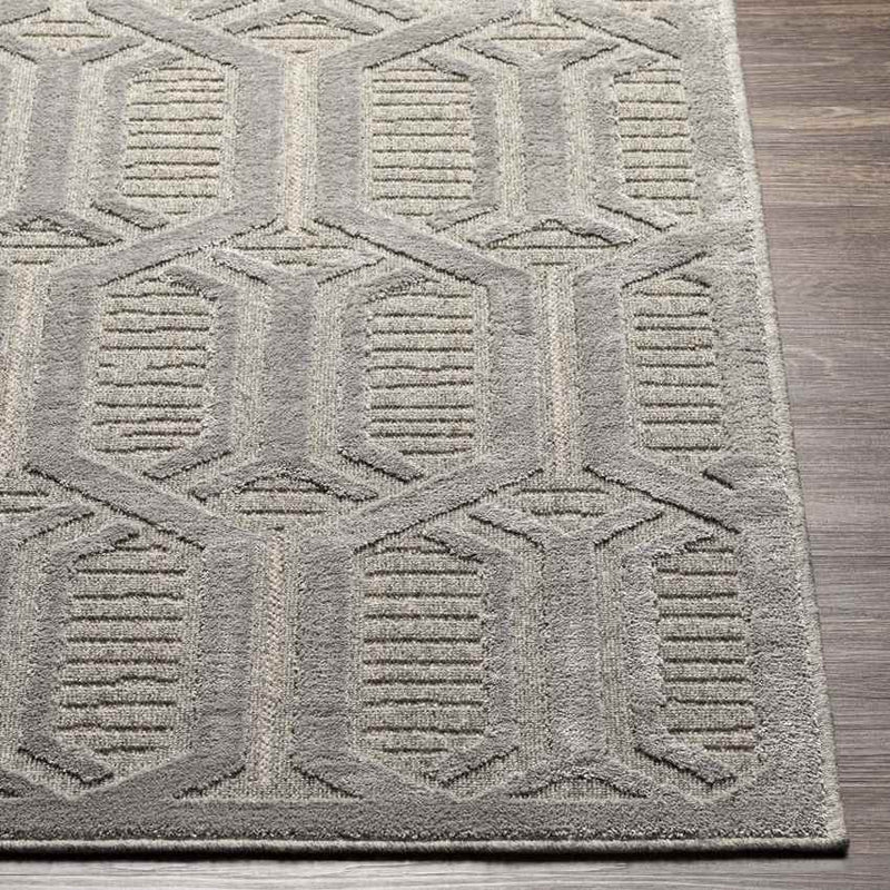 Knightstown Modern Medium Gray Area Rug