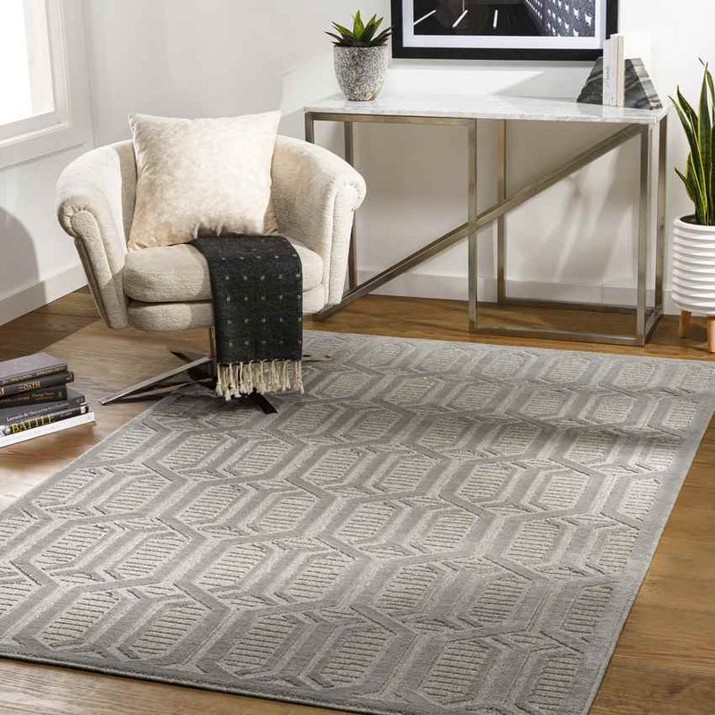 Knightstown Modern Medium Gray Area Rug