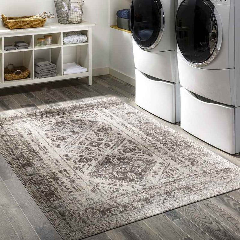 Salamonia Traditional Medium Gray Washable Area Rug