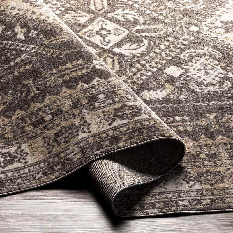 Salamonia Traditional Dark Brown Washable Area Rug