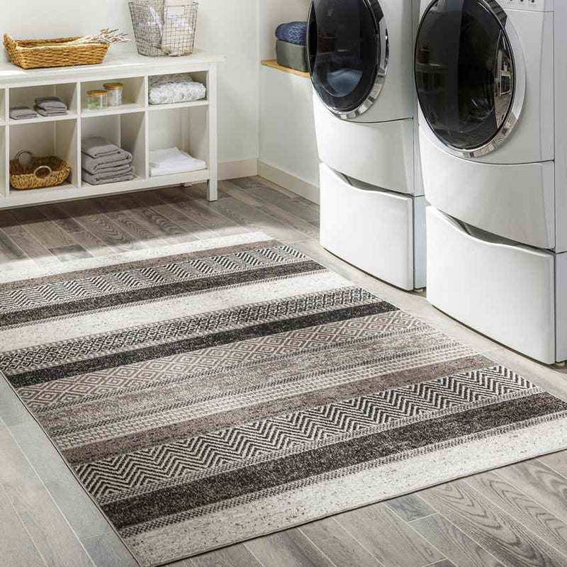 Sandborn Modern Medium Gray Washable Area Rug