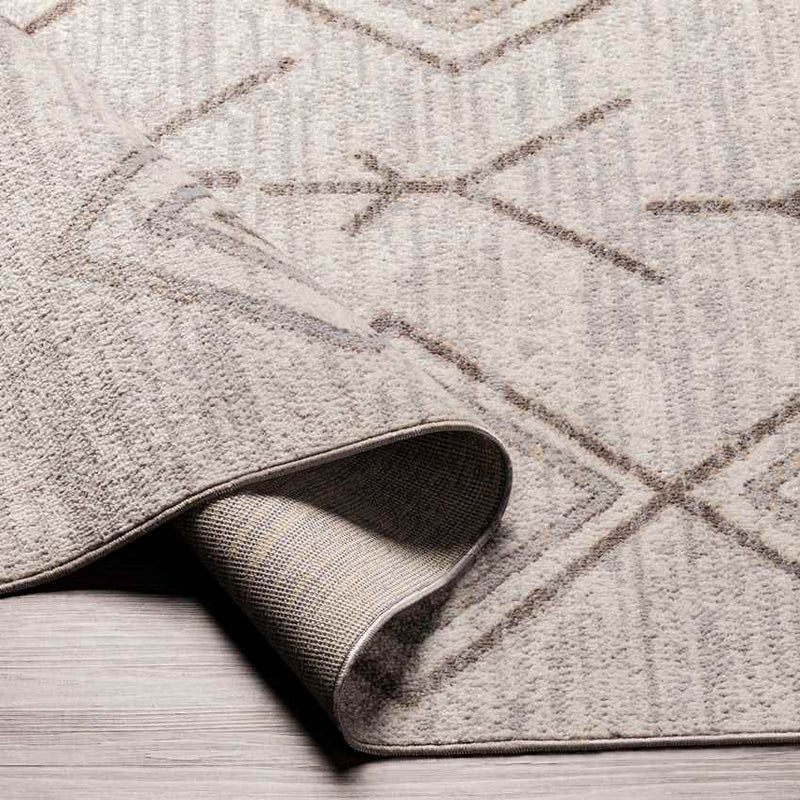 Seelyville Global Beige Washable Area Rug