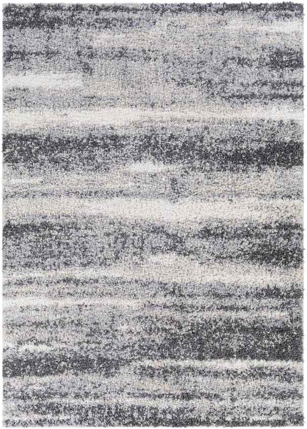 Le Roy Modern Charcoal Area Rug